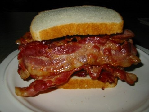 [Image: bacon_sandwich.jpg]